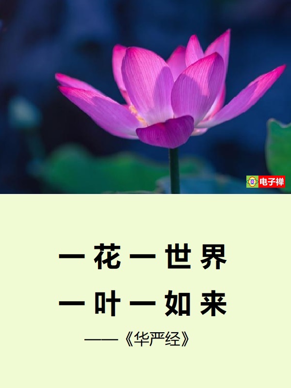 【电子禅特辑】