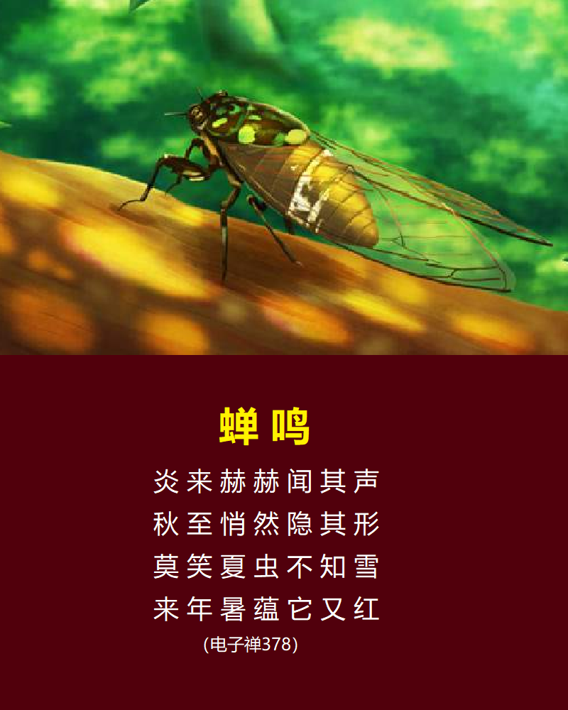 【电子禅特辑】